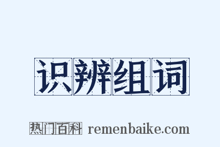 识辨组词是什么意思的图片